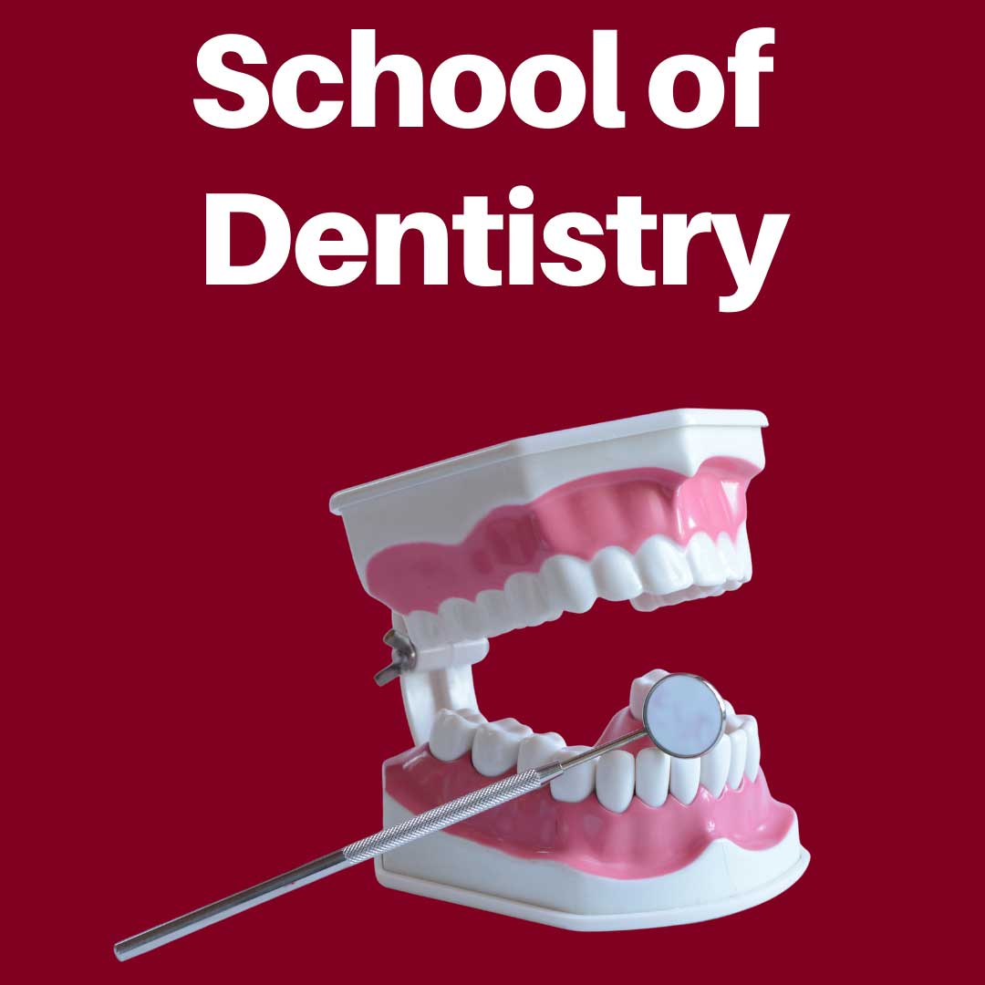 School-Of-Dentistry-Collection-